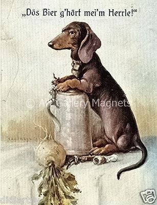 Dachshund~My MASTERS BEER~Guarding GERMAN Stein~Postcard VINTAGE 