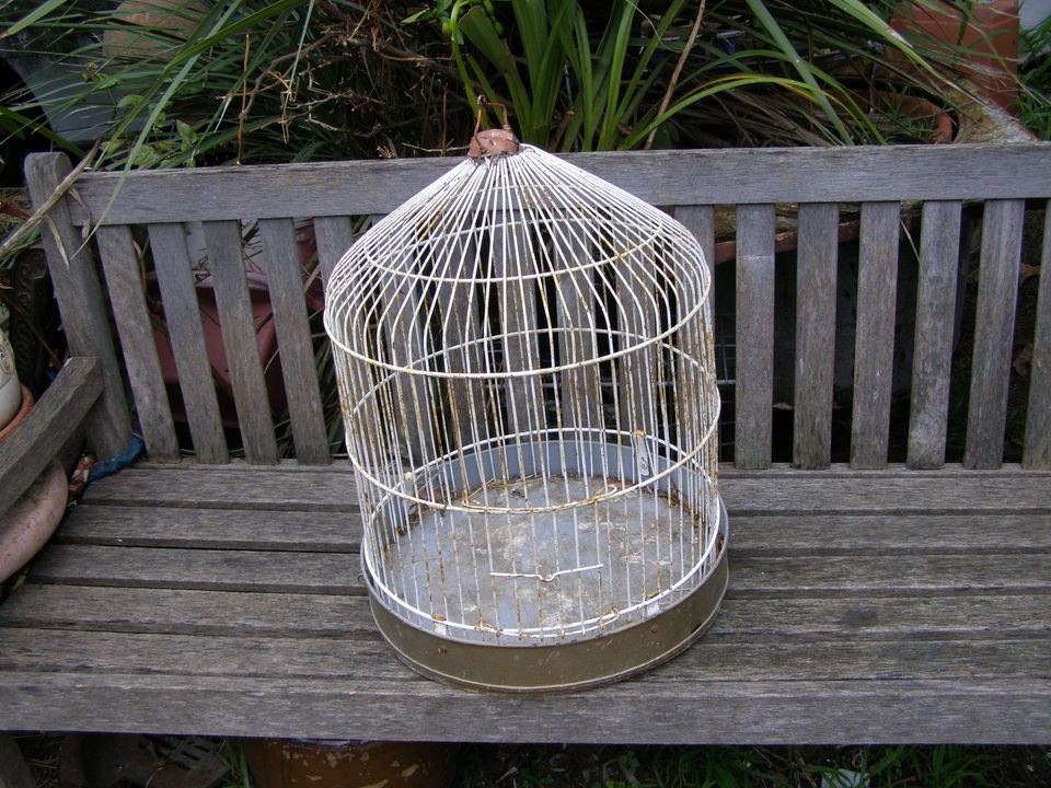 antique bird cage in Cages