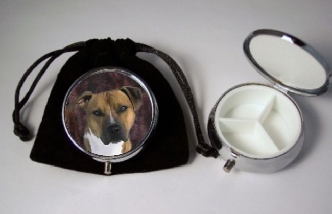 American Pit Bull Terrier Dog Breed Pill Box