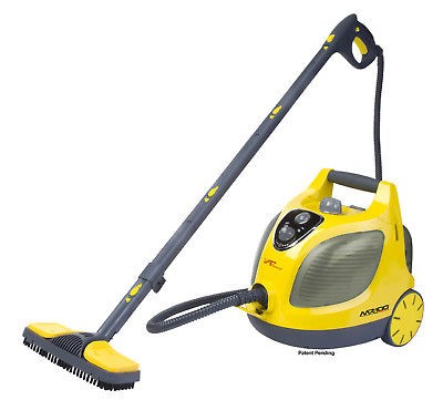 Steam vapor cleaner in Home & Garden