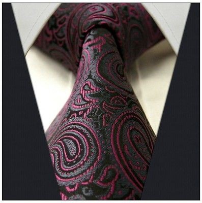 Q17 Paisley Black Gray Grey Fuchsia Mens Ties Neckties 100% Silk 