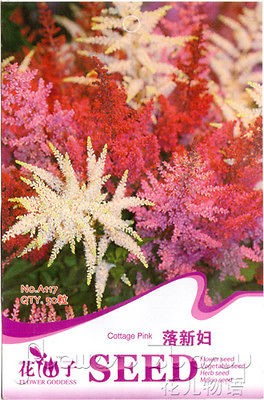 Bag 50 Seed Astilbechinens​is Mix Color Chinese Astilbe ‘Visions 