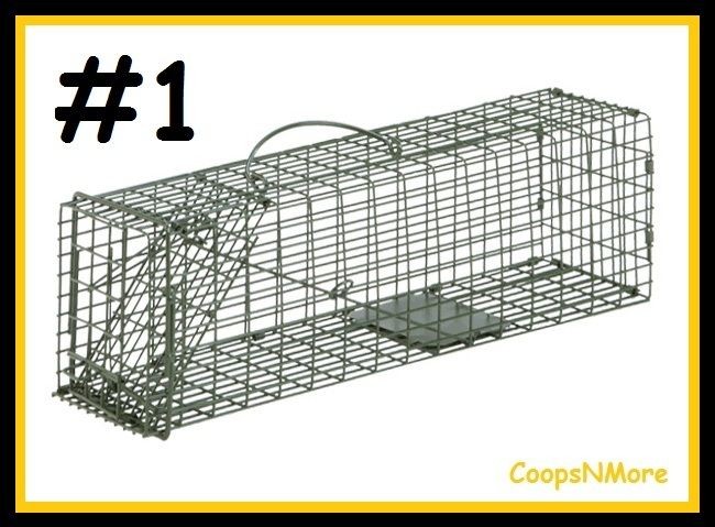   x5x5 DUKE #1 LIVE ANIMAL TRAP★ SQUIRREL CHIPMUNK RAT HUMANE CAGE