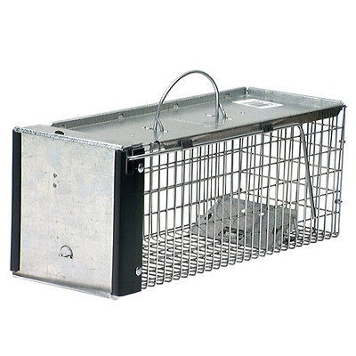   0745 Medium Live Game Animal Trap 1 Door Chipmunk & Squirrel Trap Cage