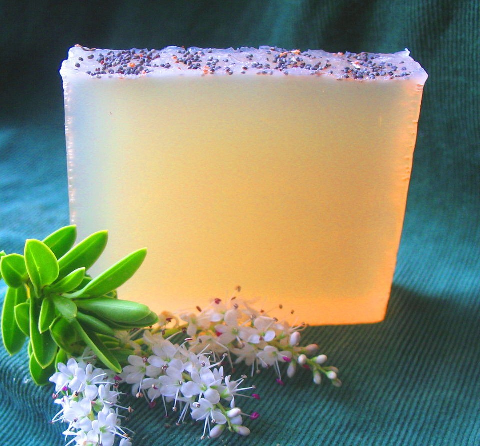 ACNE SPOTS&OILY SKIN Removal Treatment~Soap Bar~Natural Organic Tea 