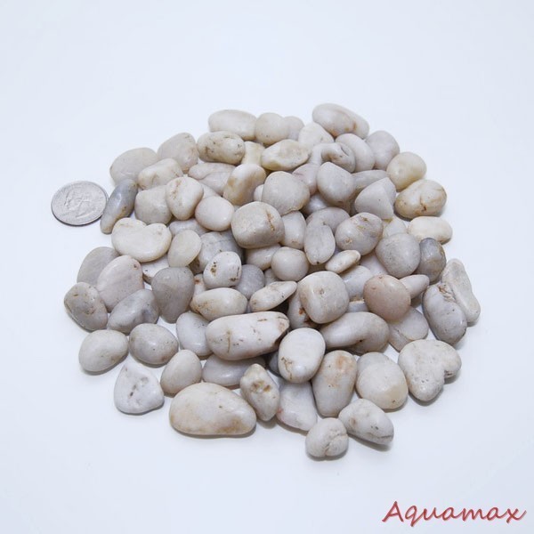 White Nature Pebble Stone Home Deco Outdoor Garden Aquarium 10LBS 