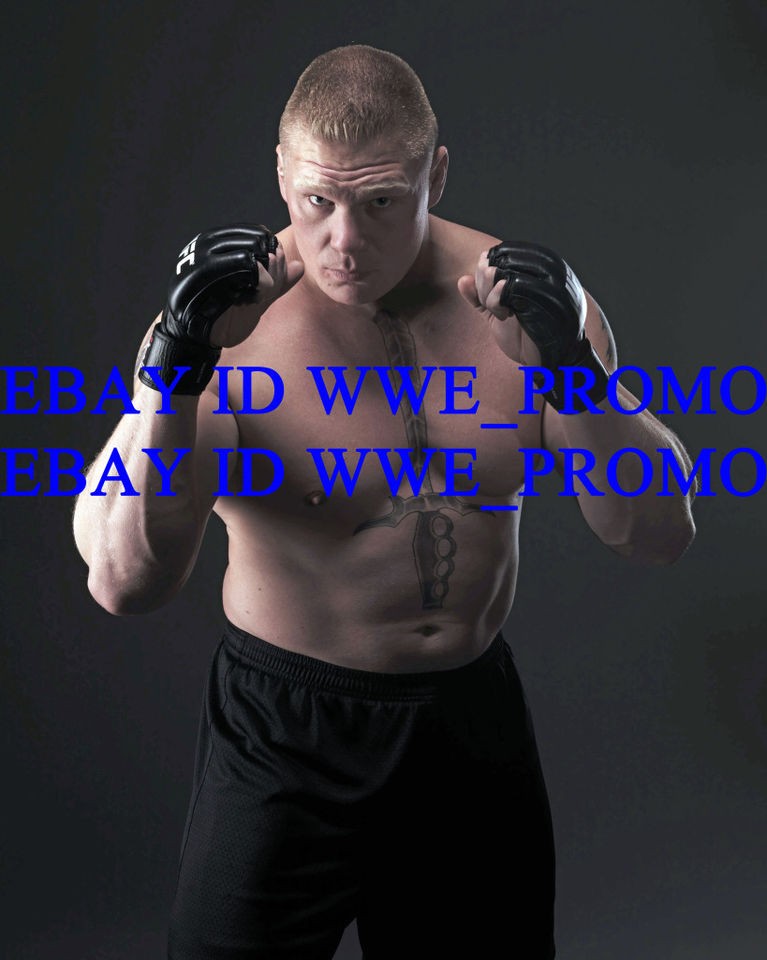 brock lesnar in Autographs Original