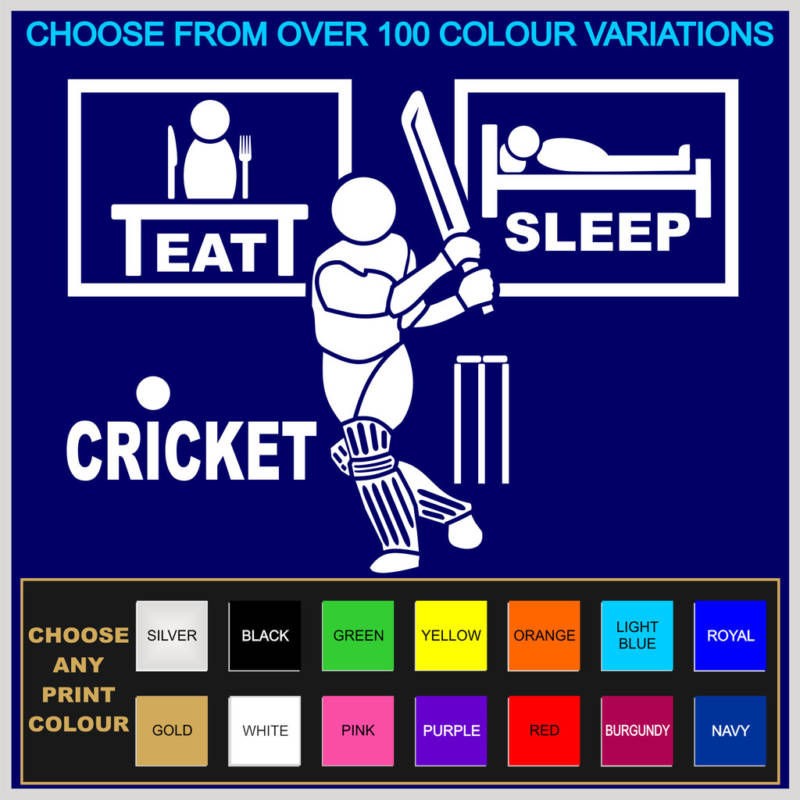 CRICKET T SHIRT with gloves ball shoes helmet bat pads