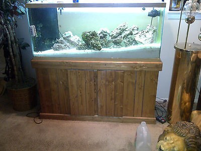 saltwater aquarium in Aquariums