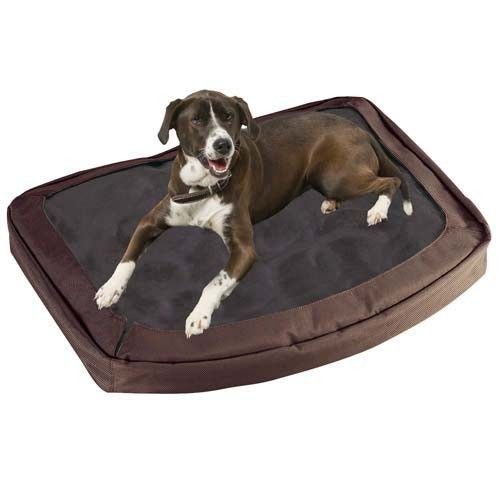 waterproof dog beds in Beds