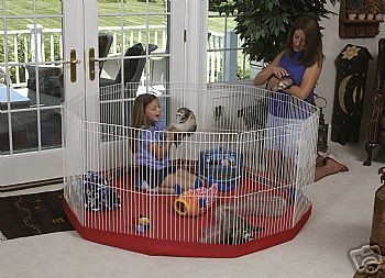 Ferret Dog Rabbit Marshall Playpen 11 panel & Playmat