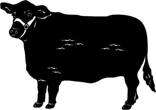   Cow Vinyl Decal Car Truck Window Trailer Barn Shed Bike Sticker