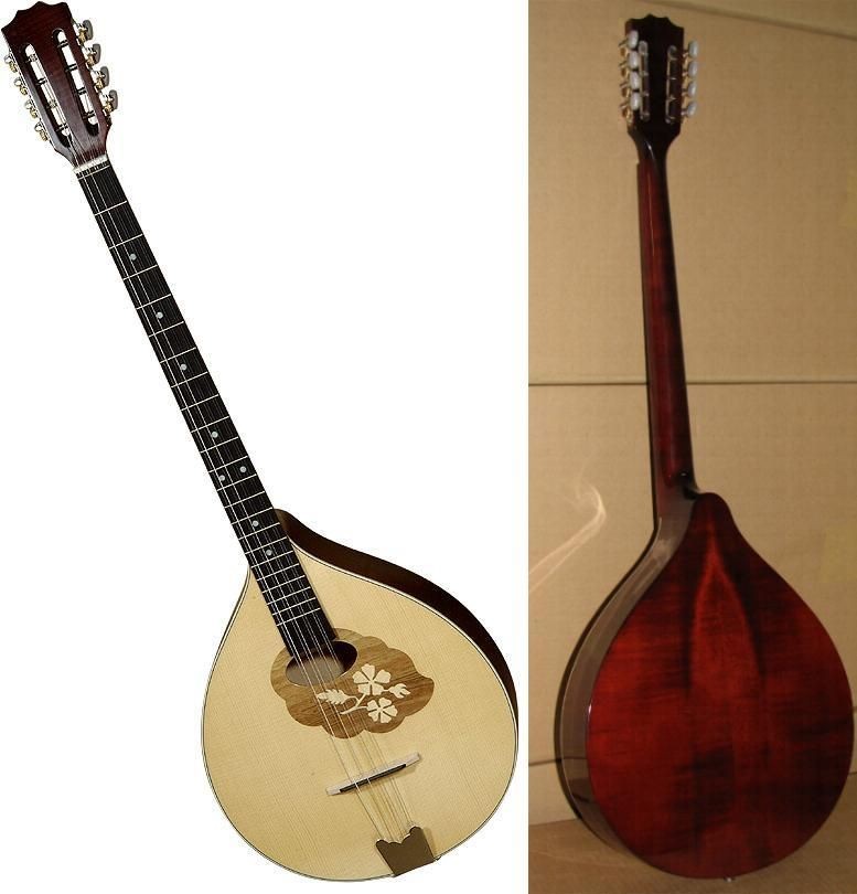 Musical Instruments & Gear  String  Bouzouki/ Mandola