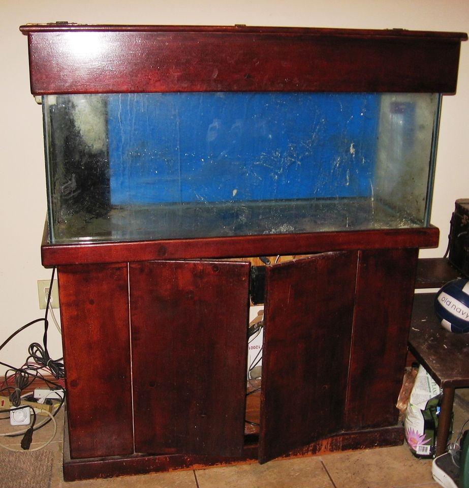 used saltwater aquarium in Aquariums