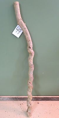 VINE TWISTED WALKING STICK CANE HIKING NATURAL TREKKING CARVING #49