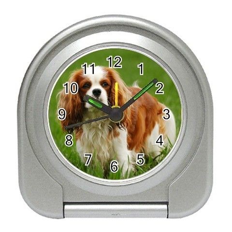 cavalier king charles spaniel in Home & Garden