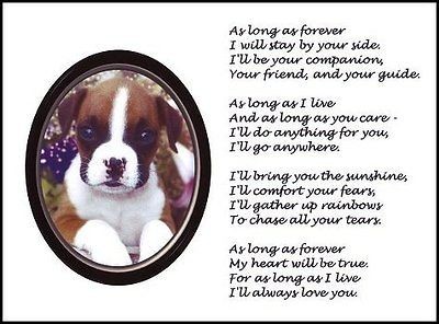 New BOXER BULLDOG PUPPY print FOREVER art poem