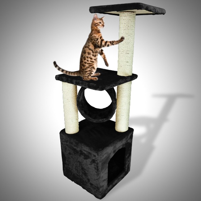 cat condo