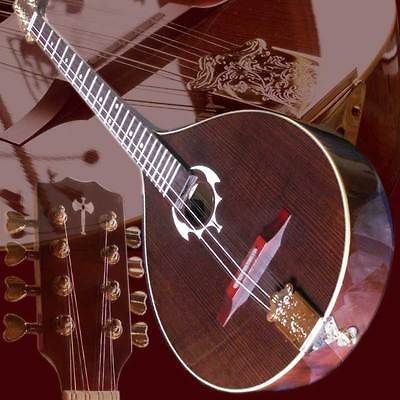 irish bouzouki in Musical Instruments & Gear