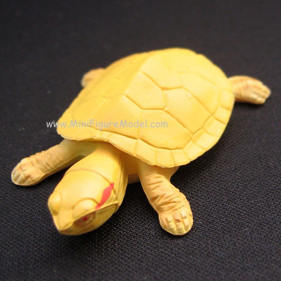 RED EARED SLIDER TRACHEMYS SCRIPTA choco egg gift PET 1