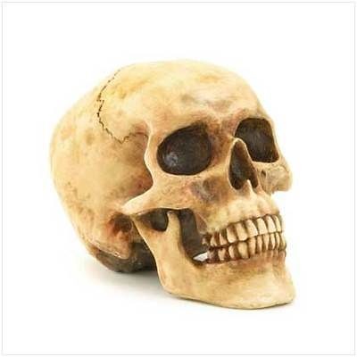   GRINNING SKULL Halloween Decoration Figure Sculpture Statue Bone head