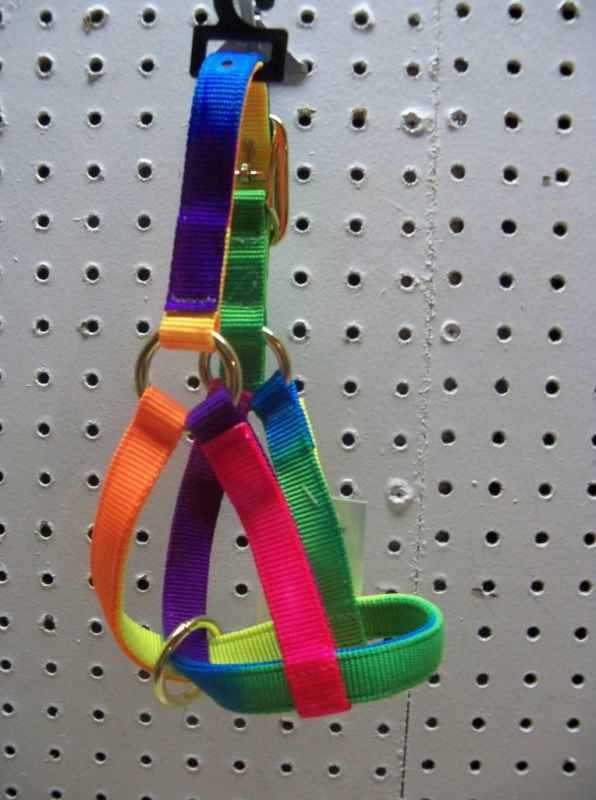 Duty Rainbow Nanny GOAT Show Nylon Halter Collar M