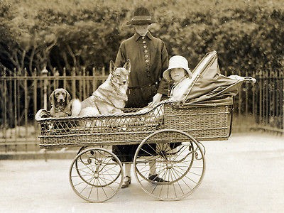 ELKHOUND DACHSHUND CHILD IN ANTIQUE PRAM DOG PRINT 8 x 10 MOUNTED 