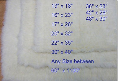   Any Size Available Polyester Fleece Pet Beds Dog Mats 20 x 32 x 1 pc