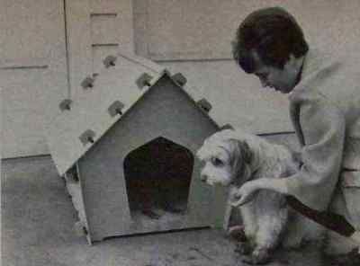 Knockdown Dog House How To Build PLANS plywood