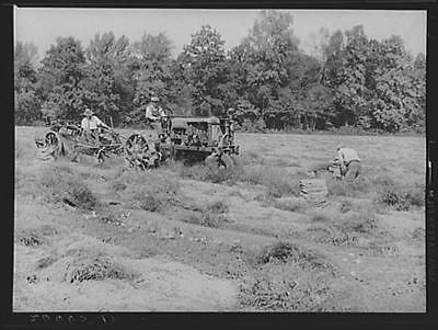 potato diggers