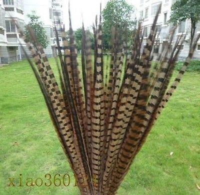 10 Pcs beautiful natural pheasant tail feathers 50 55 cm / 20 22 