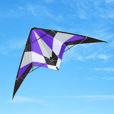 HOT SPORT DUAL CONTROL SPORT STUNT KITE FUN TO FLY/EASY TO FLY PURPLE