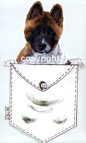 Akita pup in a pocket t  shirt s 3xl