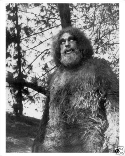 SIX MILLION DOLLAR MAN photo 316 03 BIGFOOT Andre Giant