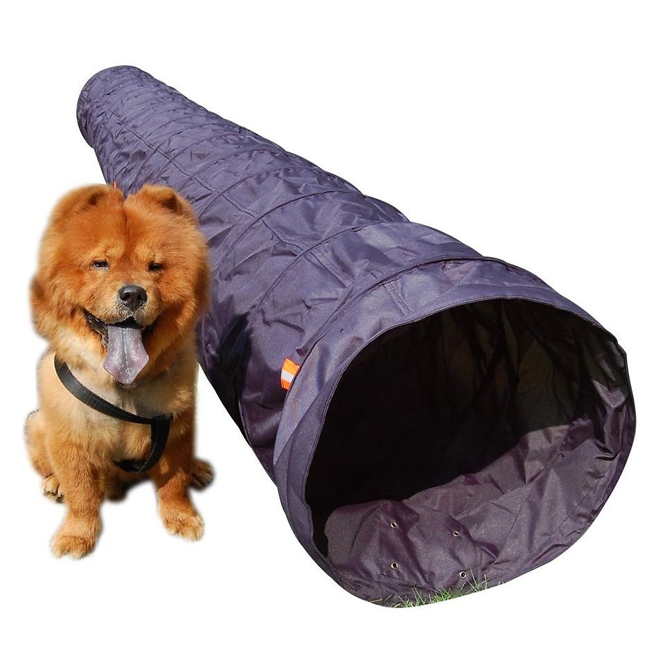    Dog Supplies  Training & Obedience  Agility Training