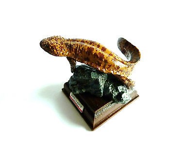 RARE Kitan Club Kaiyodo Aquarium Japanese Giant Salamander Gashapon 