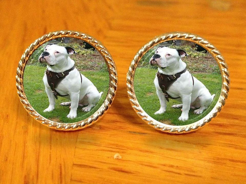 bulldog cufflinks in Jewelry & Watches