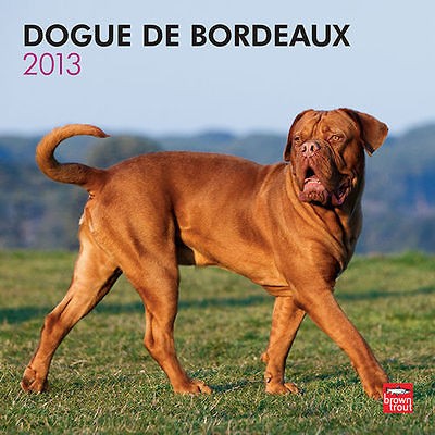 dogue de bordeaux in Collectibles