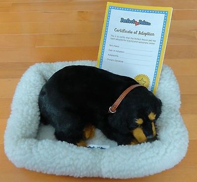 Perfect Petzzz ROTTWEILER Breathing Sleeping Pet Puppy Pets Petzz Petz 