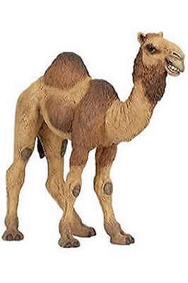 Collectibles  Animals  Wild Animals  Camels