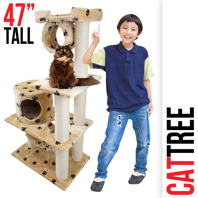 cat scratching posts in Furniture & Scratchers