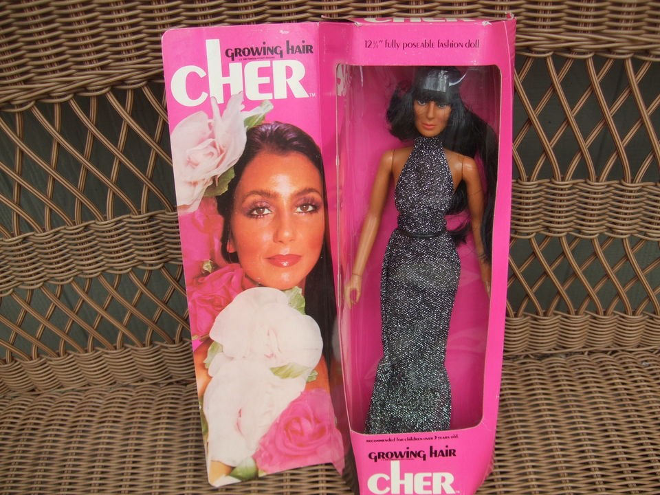 Cher Growing Hair 1976 Mego Poseable Fashion Doll MIB