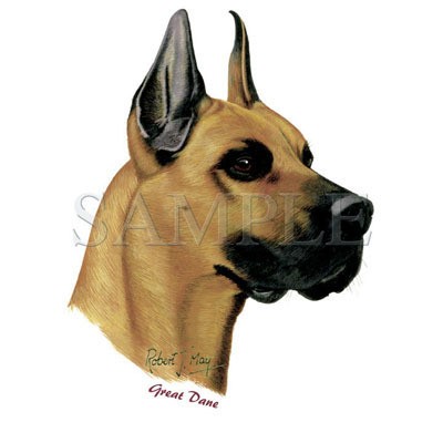 850 Great Dane Dog Heat Transfer T Shirt Iron On Print