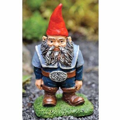 gnome in Elves, Gnomes, Pixies