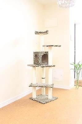 leopard furniture in Furniture