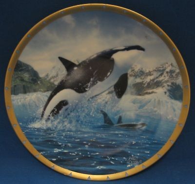 Orca Whale Conservation Plate Jarrett Holderby Lenox US