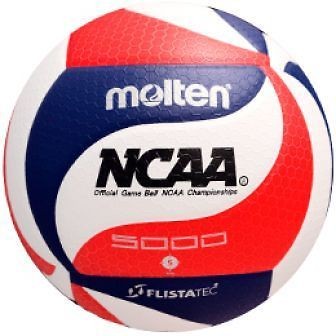 molten v5m5000 in Volleyballs