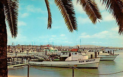 POST CARD SPORTFISHING FLEET SAN DIEGO CALIFORNIA CHARTER BOATS DEEP 