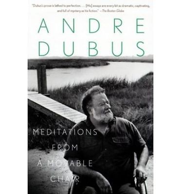 Meditations from a Movable Chair (Paperback)