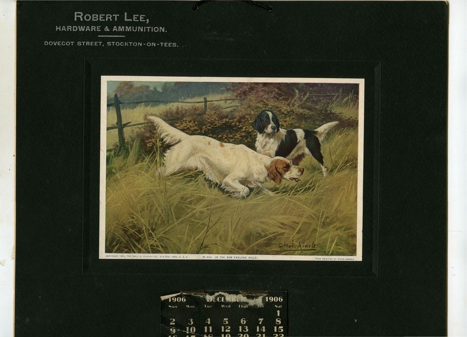 ROBERT LEE Stockton on Te​es CALENDAR 1906   SETTERS DOGS by Artist 